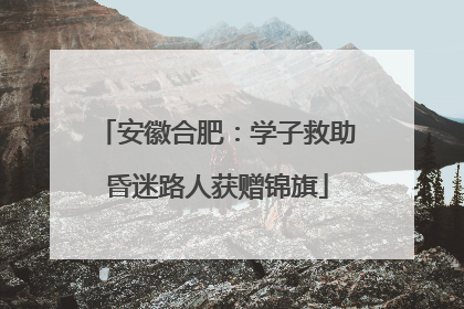 安徽合肥：学子救助昏迷路人获赠锦旗