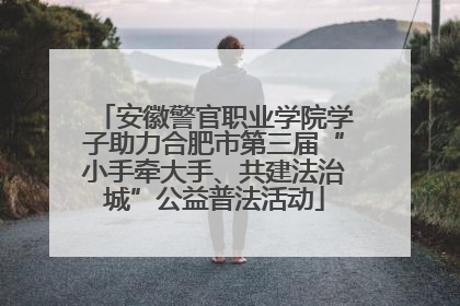 安徽警官职业学院学子助力合肥市第三届“小手牵大手、共建法治城”公益普法活动