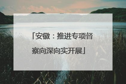 安徽：推进专项督察向深向实开展
