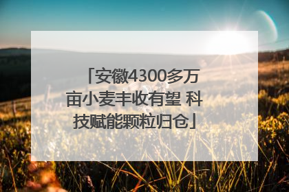 安徽4300多万亩小麦丰收有望 科技赋能颗粒归仓