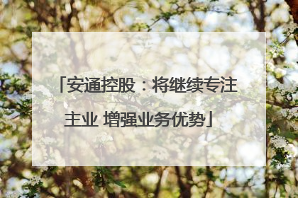 安通控股：将继续专注主业 增强业务优势