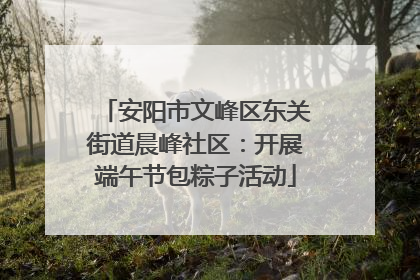 安阳市文峰区东关街道晨峰社区：开展端午节包粽子活动