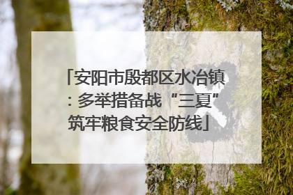 安阳市殷都区水冶镇：多举措备战“三夏” 筑牢粮食安全防线