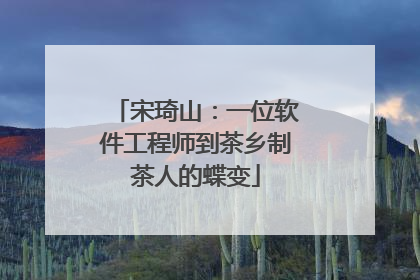 宋琦山：一位软件工程师到茶乡制茶人的蝶变