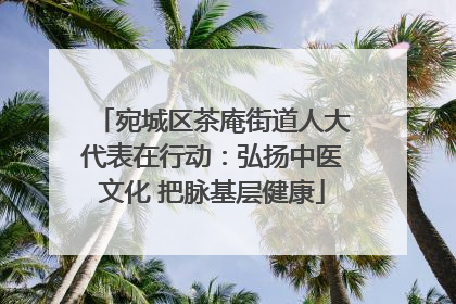 宛城区茶庵街道人大代表在行动：弘扬中医文化 把脉基层健康
