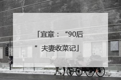 宜章：“90后”夫妻收菜记