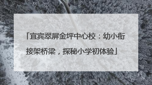 宜宾翠屏金坪中心校：幼小衔接架桥梁，探秘小学初体验
