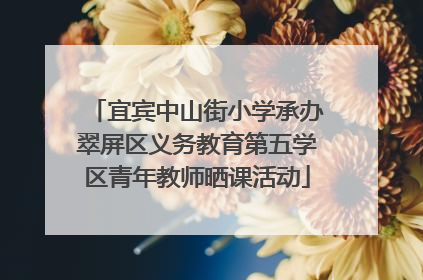 宜宾中山街小学承办翠屏区义务教育第五学区青年教师晒课活动