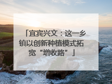 宜宾兴文：这一乡镇以创新种植模式拓宽“增收路”