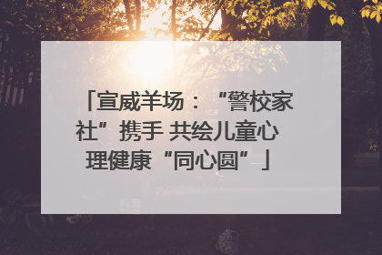 宣威羊场：“警校家社”携手 共绘儿童心理健康“同心圆”