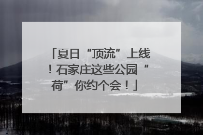 夏日“顶流”上线！石家庄这些公园“荷”你约个会！