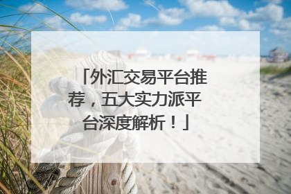 外汇交易平台推荐，五大实力派平台深度解析！