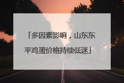 多因素影响，山东东平鸡蛋价格持续低迷