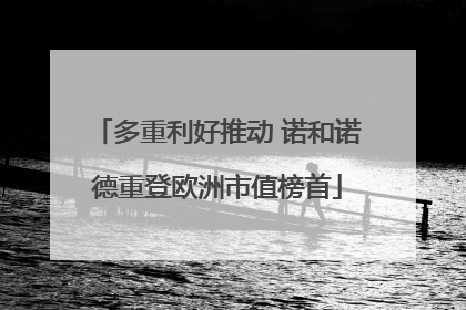 多重利好推动 诺和诺德重登欧洲市值榜首