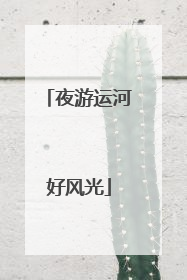 夜游运河好风光