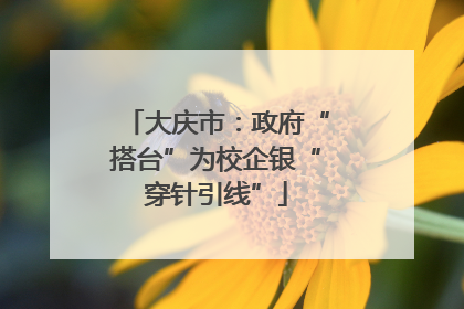 大庆市：政府“搭台”为校企银“穿针引线”