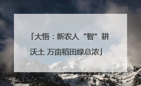 大悟：新农人“智”耕沃土 万亩稻田绿意浓