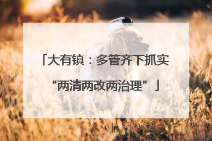 大有镇：多管齐下抓实“两清两改两治理”