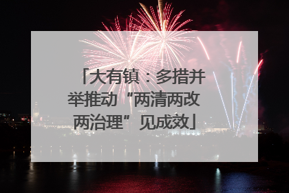 大有镇：多措并举推动“两清两改两治理”见成效
