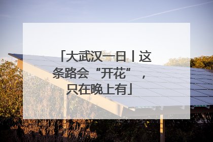大武汉一日丨这条路会“开花”，只在晚上有
