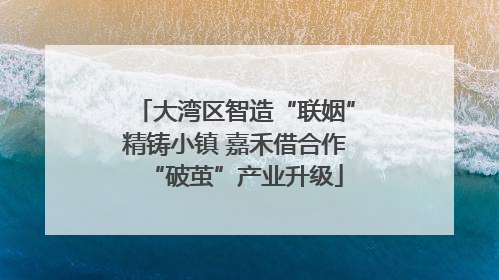 大湾区智造“联姻”精铸小镇 嘉禾借合作“破茧”产业升级