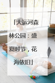 大运河森林公园：盛夏时节，花海依旧