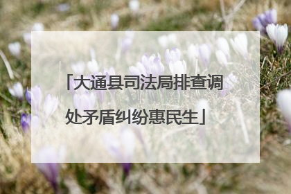 大通县司法局排查调处矛盾纠纷惠民生