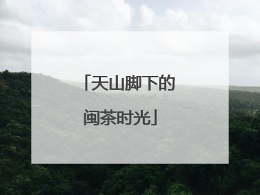 天山脚下的闽茶时光