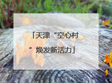 天津“空心村”焕发新活力