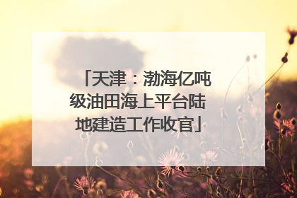 天津：渤海亿吨级油田海上平台陆地建造工作收官