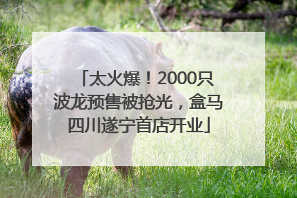 太火爆！2000只波龙预售被抢光，盒马四川遂宁首店开业