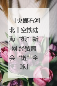 央媒看河北丨空铁陆海“织”新网 经贸盛会“链”全球