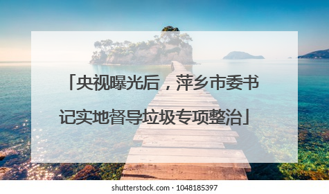 央视曝光后，萍乡市委书记实地督导垃圾专项整治