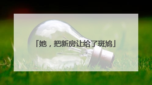 她，把新房让给了斑鸠