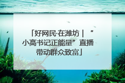 好网民·在潍坊｜“小高书记正能量”直播 带动群众致富
