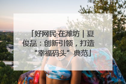 好网民·在潍坊｜夏俊磊：创新引领，打造“幸福码头”典范