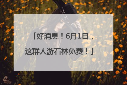 好消息！6月1日，这群人游石林免费！