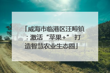 威海市临港区汪疃镇：激活“苹果+” 打造智慧农业生态圈