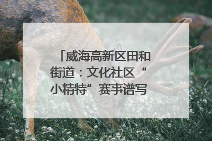 威海高新区田和街道：文化社区“小精特”赛事谱写文化赋能新乐章
