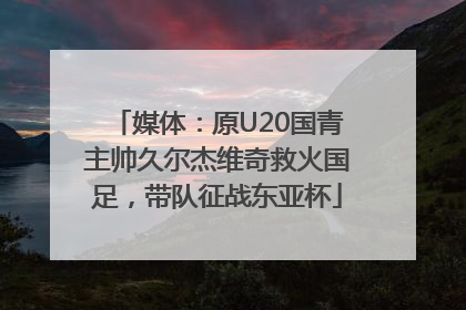 媒体：原U20国青主帅久尔杰维奇救火国足，带队征战东亚杯
