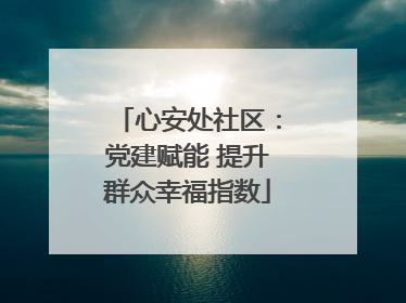 心安处社区：党建赋能 提升群众幸福指数