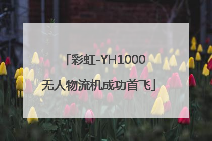 彩虹-YH1000无人物流机成功首飞