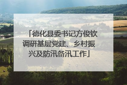 德化县委书记方俊钦调研基层党建、乡村振兴及防汛备汛工作