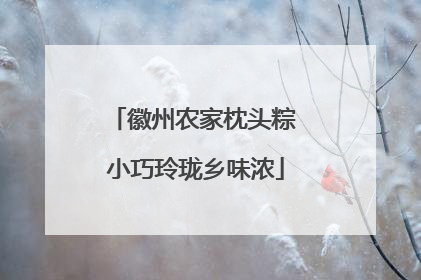 徽州农家枕头粽 小巧玲珑乡味浓