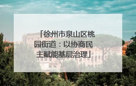 徐州市泉山区桃园街道：以协商民主赋能基层治理