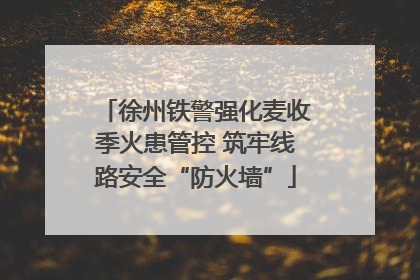 徐州铁警强化麦收季火患管控 筑牢线路安全“防火墙”