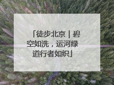 徒步北京｜碧空如洗，运河绿道行者如织