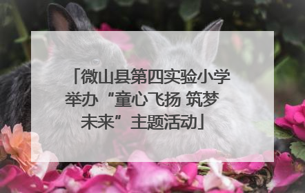 微山县第四实验小学举办“童心飞扬 筑梦未来”主题活动