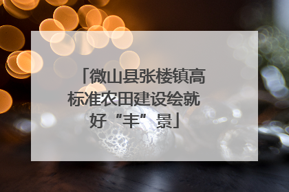 微山县张楼镇高标准农田建设绘就好“丰”景