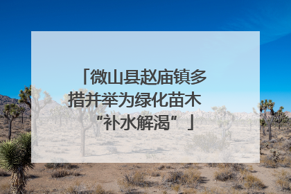 微山县赵庙镇多措并举为绿化苗木“补水解渴”